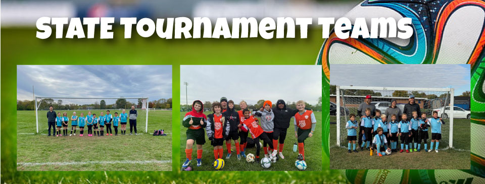 State Tournament Teams